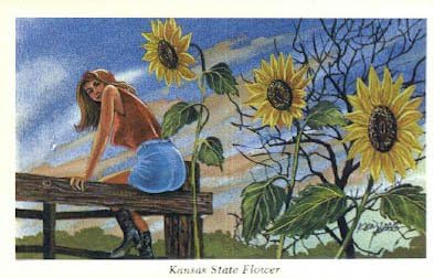Цветето на щата Канзас, пощенска Картичка