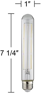 Tesler Равностоен 100 W Прозрачна led крушка с мощност 12 W с регулируема яркост на Стандартна лампа T30, комплект от 4