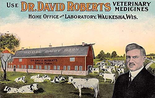 Професия, д-р Д-р Дейвид Робъртс, ветеринарни лекарства Уокеша, WS, САЩ Неизползван